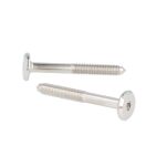 Śruba M6x50mm nikiel - 3